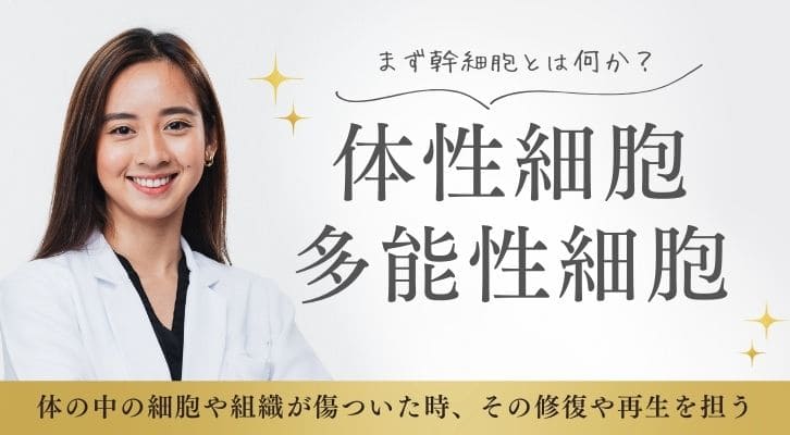 幹細胞の働きと種類