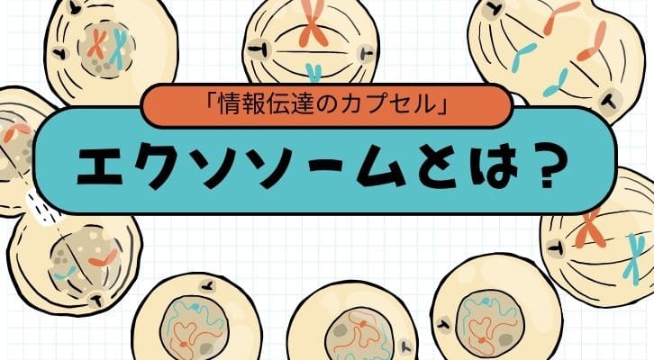 エクソソームの成分とは