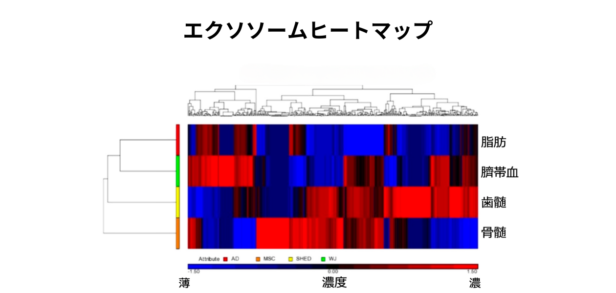 エクソソームとは