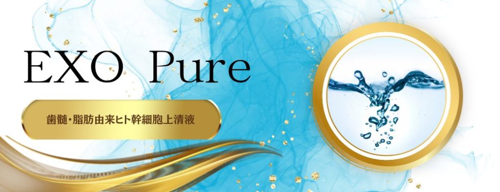 国産歯髄由来エクソソーム