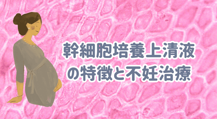 幹細胞培養上清液の特徴と不妊治療
