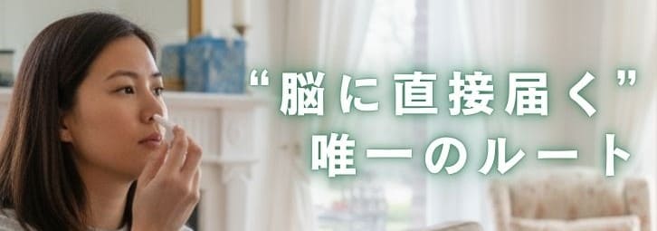 脳に直接届く唯一のルール