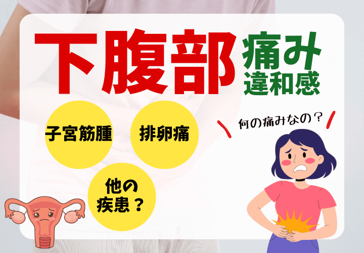 下腹部の違和感は何?子宮筋腫と排卵痛の違いをわかりやすく解説