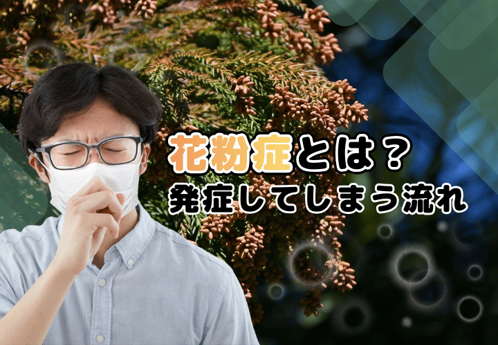 花粉症とは何か?発症してしまう流れ